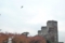 20101118082409