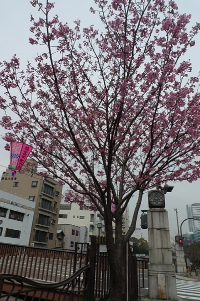 f:id:zaikabou:20110403084905j:image