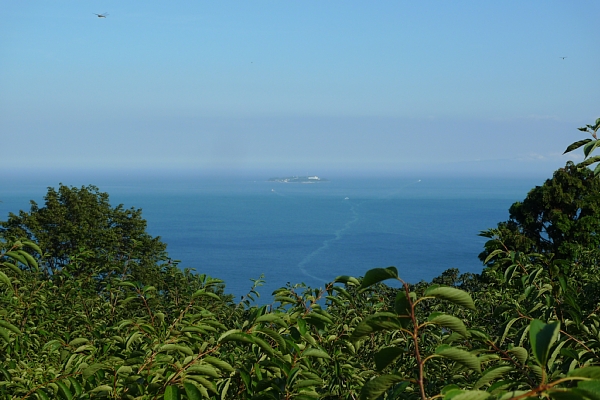 f:id:zaikabou:20110811081333j:image f:id:zaikabou:20110811081333j:image
