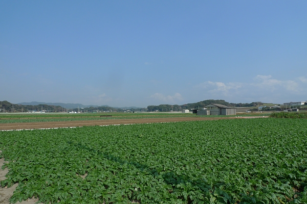 f:id:zaikabou:20111010082733j:image