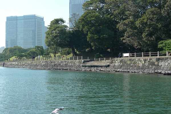 f:id:zaikabou:20111103050256j:image f:id:zaikabou:20111103050256j:image