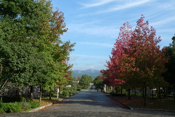 f:id:zaikabou:20111120124505j:image f:id:zaikabou:20111120124505j:image