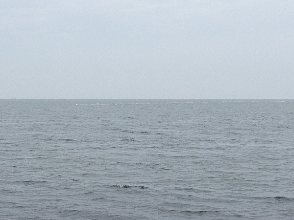 f:id:zaikabou:20130525080451j:image