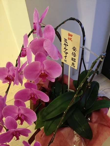 f:id:zaikabou:20130628012201j:image