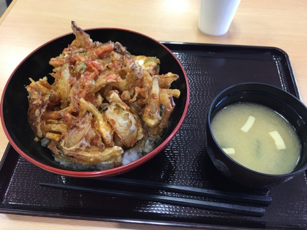 f:id:zaikabou:20161102063941j:plain
