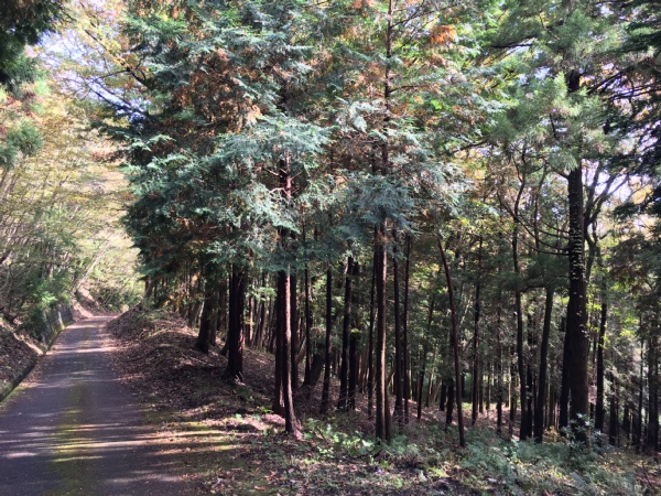 f:id:zaikabou:20161122071543j:plain f:id:zaikabou:20161122071543j:plain