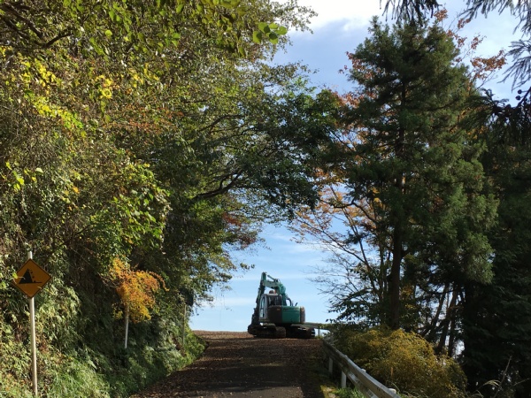 f:id:zaikabou:20161122071544j:plain f:id:zaikabou:20161122071544j:plain