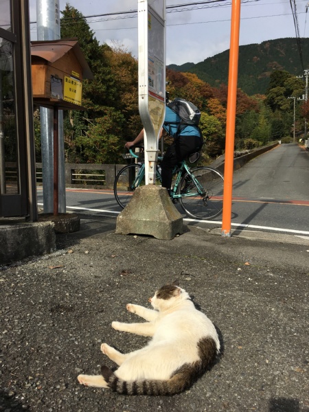 f:id:zaikabou:20161122071557j:plain f:id:zaikabou:20161122071557j:plain