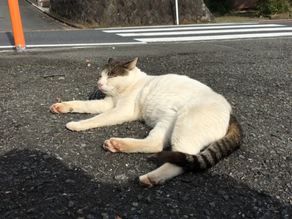 f:id:zaikabou:20161122071558j:plain f:id:zaikabou:20161122071558j:plain