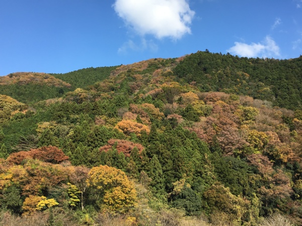 f:id:zaikabou:20161129064636j:plain