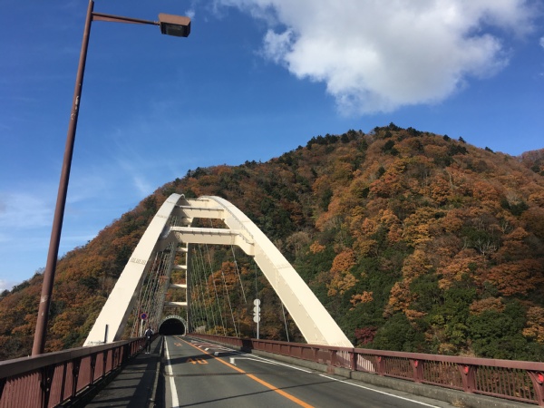 f:id:zaikabou:20161129064639j:plain