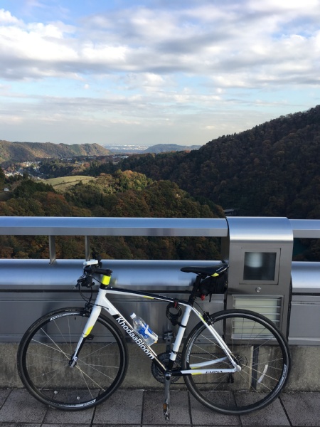 f:id:zaikabou:20161129064646j:plain