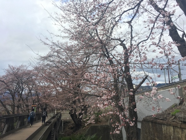 f:id:zaikabou:20170406200232j:plain