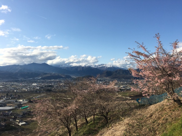 f:id:zaikabou:20170406200249j:plain