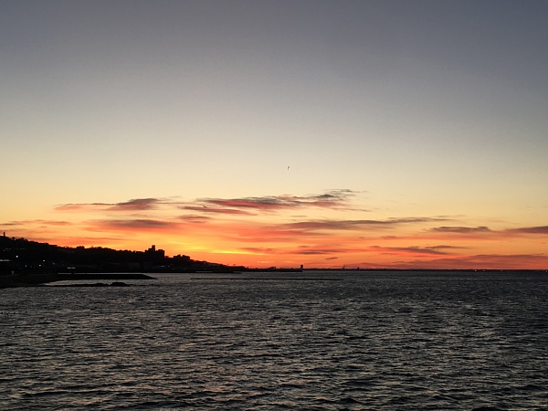 f:id:zaikabou:20180113055833j:plain