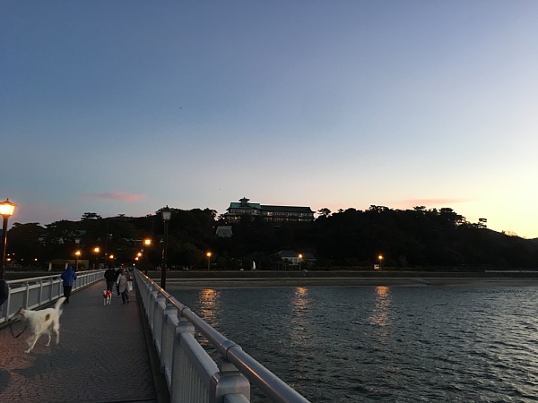 f:id:zaikabou:20180113055834j:plain