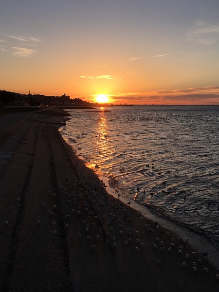 f:id:zaikabou:20180113055839j:plain