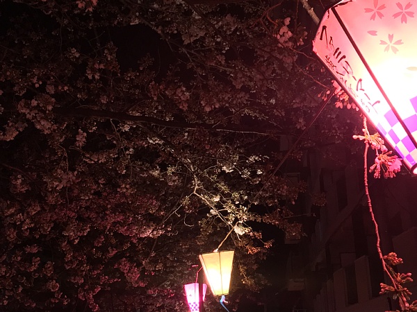 f:id:zaikabou:20180331105110j:plain