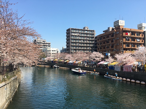 f:id:zaikabou:20180331114413j:plain