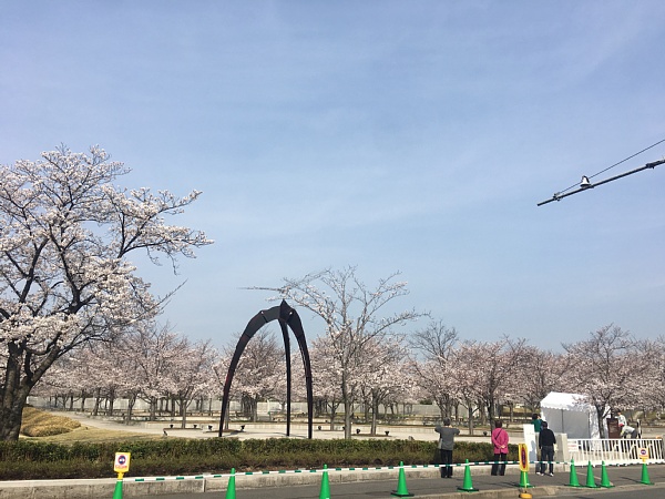 f:id:zaikabou:20180331114438j:plain