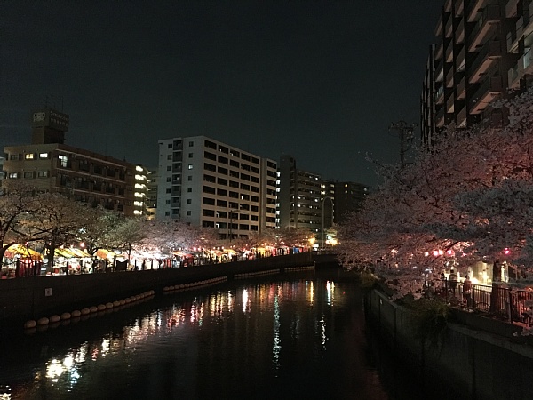 f:id:zaikabou:20180331114447j:plain