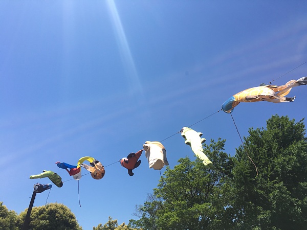 f:id:zaikabou:20180506073431j:plain