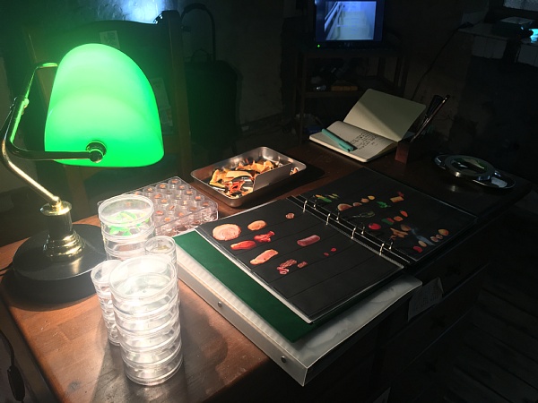 f:id:zaikabou:20181008075617j:plain