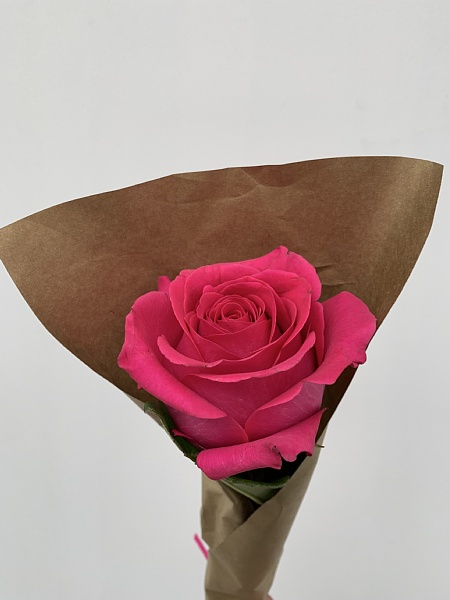 f:id:zaikabou:20190322110356j:plain