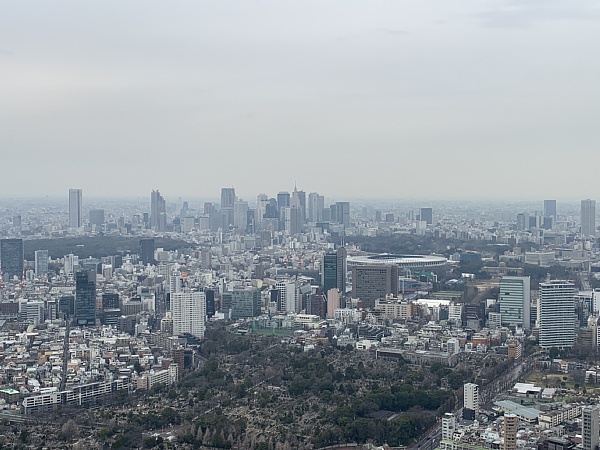f:id:zaikabou:20190322110403j:plain