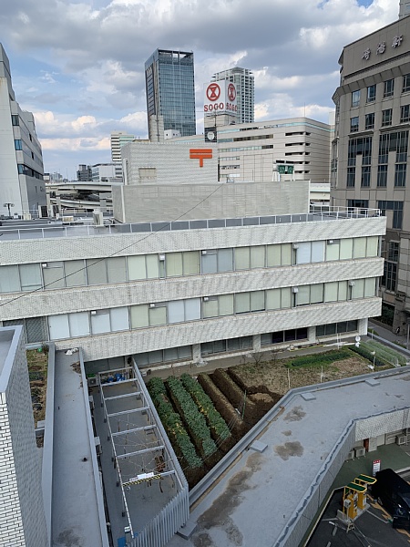 f:id:zaikabou:20190322122836j:plain