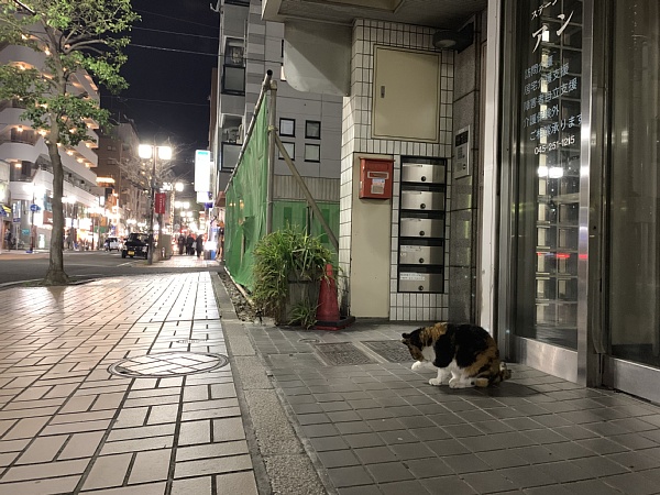 f:id:zaikabou:20190322122902j:plain