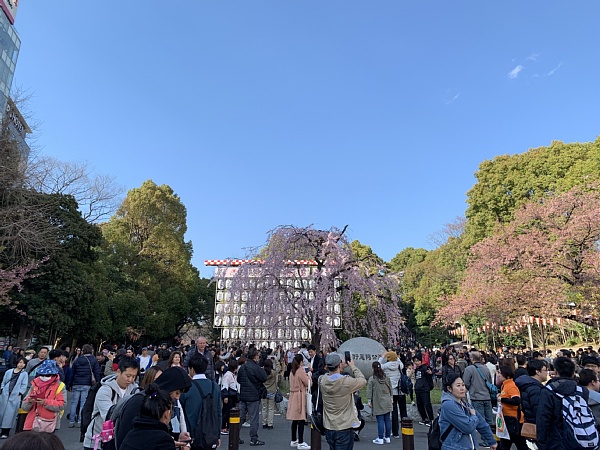 f:id:zaikabou:20190330130158j:plain