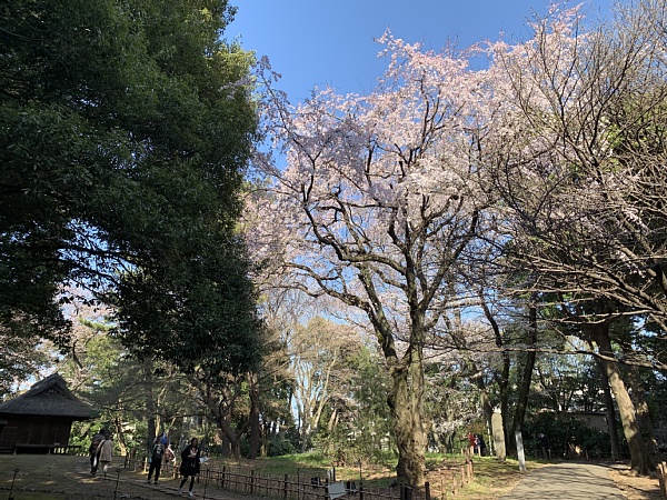f:id:zaikabou:20190330130211j:plain