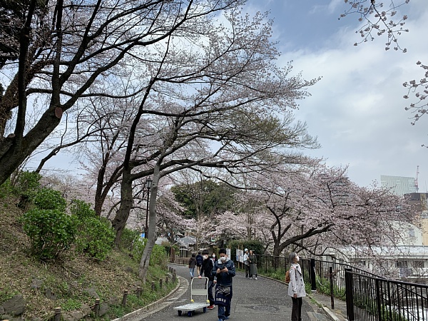 f:id:zaikabou:20190412073559j:plain