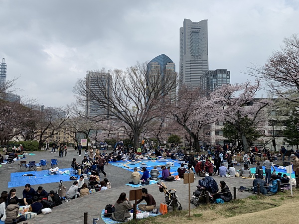 f:id:zaikabou:20190412073603j:plain