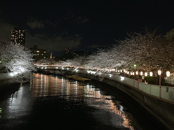 f:id:zaikabou:20190412073731j:plain
