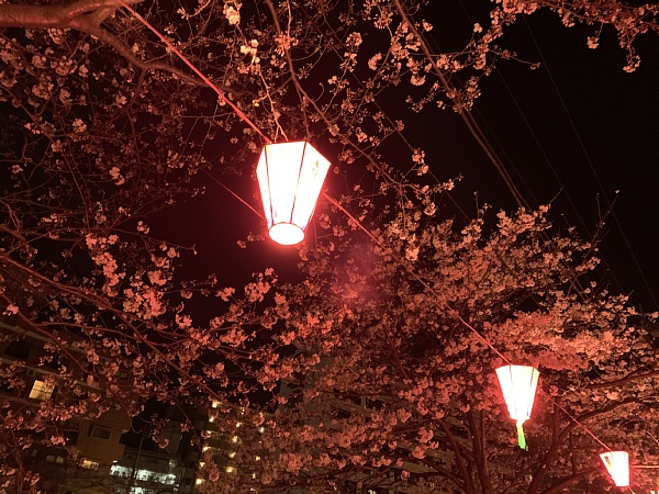 f:id:zaikabou:20190412073801j:plain