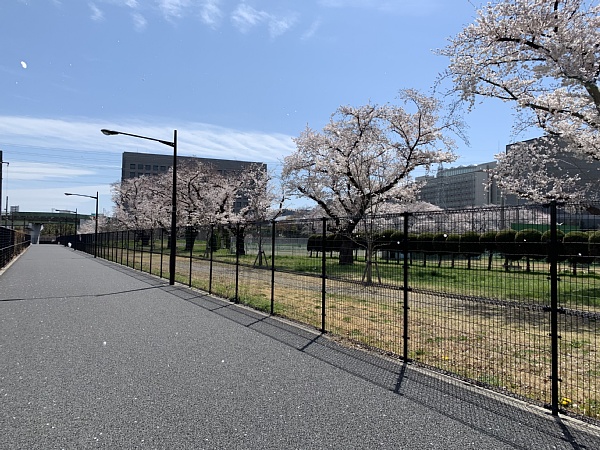 f:id:zaikabou:20190412080412j:plain