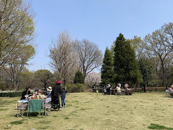 f:id:zaikabou:20190412082515j:plain