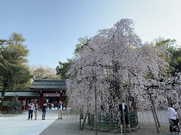 f:id:zaikabou:20190412082731j:plain