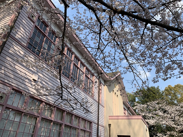 f:id:zaikabou:20190412082734j:plain