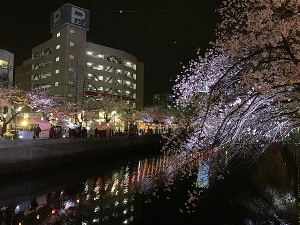 f:id:zaikabou:20190412082802j:plain
