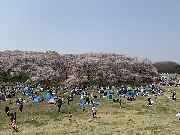f:id:zaikabou:20190412084613j:plain f:id:zaikabou:20190412084613j:plain