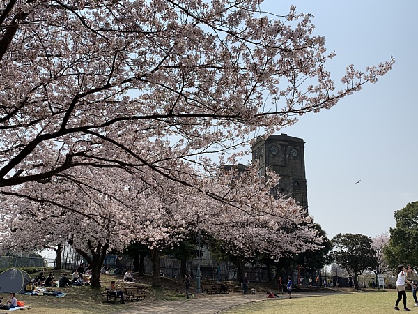 f:id:zaikabou:20190412084615j:plain f:id:zaikabou:20190412084615j:plain