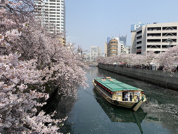 f:id:zaikabou:20190412084618j:plain f:id:zaikabou:20190412084618j:plain