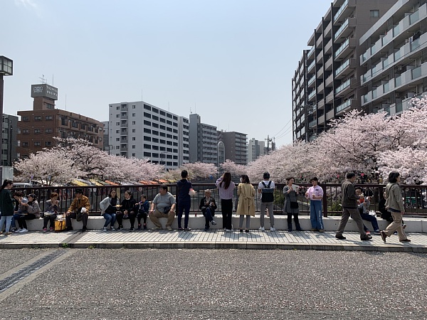 f:id:zaikabou:20190412084621j:plain f:id:zaikabou:20190412084621j:plain