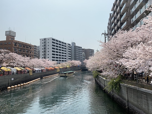 f:id:zaikabou:20190412084623j:plain f:id:zaikabou:20190412084623j:plain