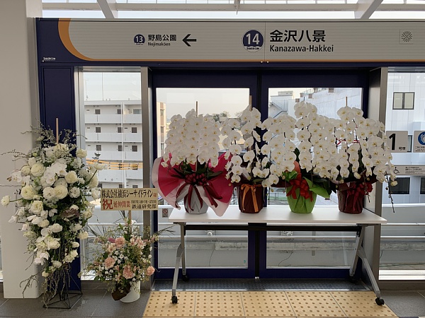 f:id:zaikabou:20190412085246j:plain f:id:zaikabou:20190412085246j:plain