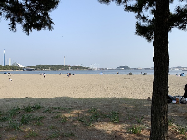 f:id:zaikabou:20190412085248j:plain f:id:zaikabou:20190412085248j:plain