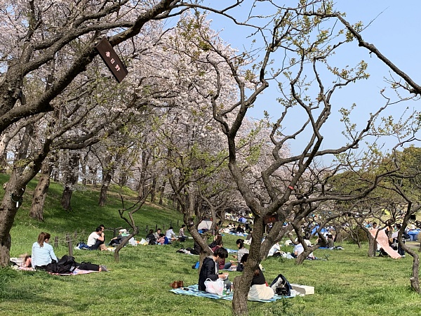 f:id:zaikabou:20190412085251j:plain f:id:zaikabou:20190412085251j:plain